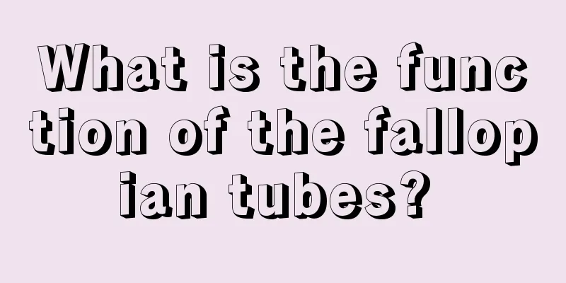 What is the function of the fallopian tubes? 