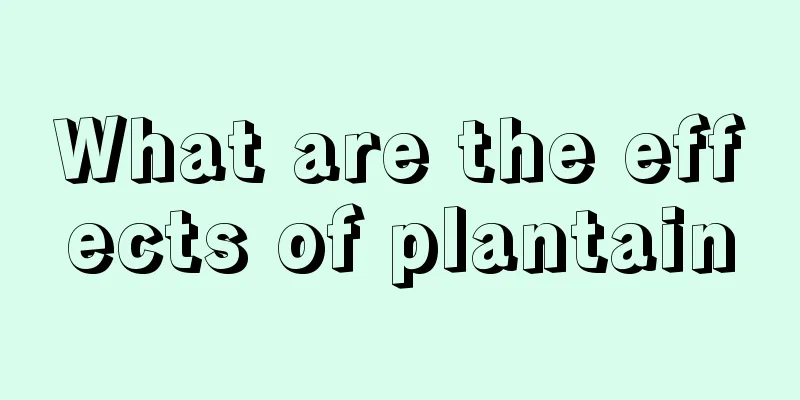 What are the effects of plantain