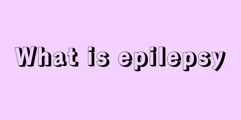 What is epilepsy