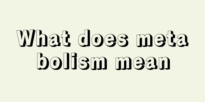 What does metabolism mean