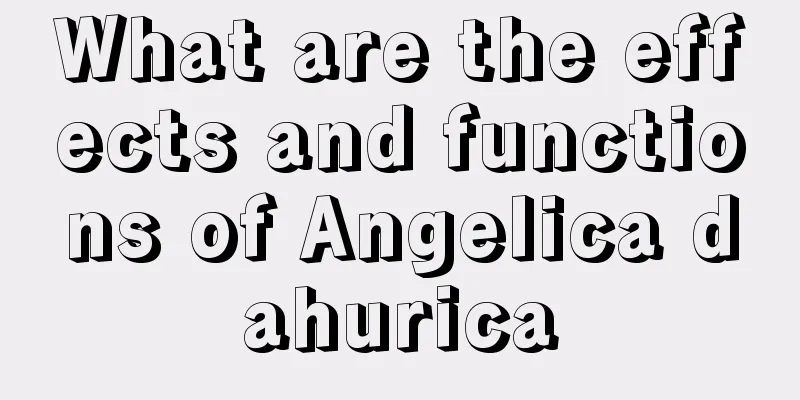 What are the effects and functions of Angelica dahurica