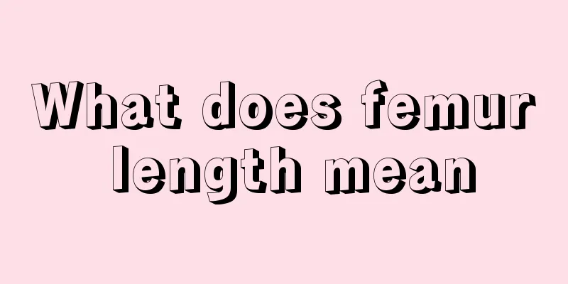 What does femur length mean