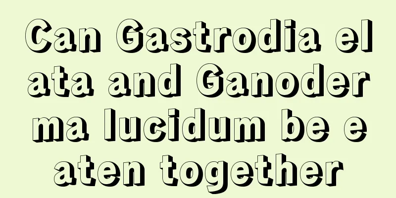 Can Gastrodia elata and Ganoderma lucidum be eaten together