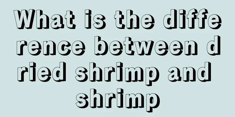 What is the difference between dried shrimp and shrimp