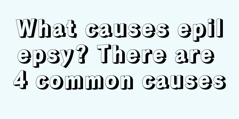 What causes epilepsy? There are 4 common causes