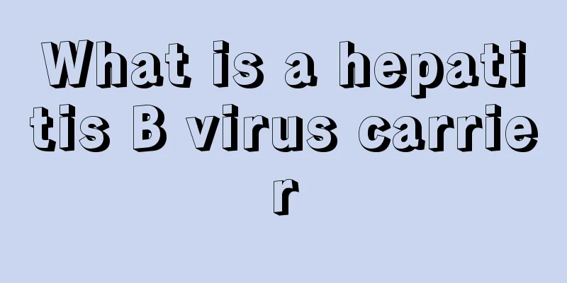 What is a hepatitis B virus carrier