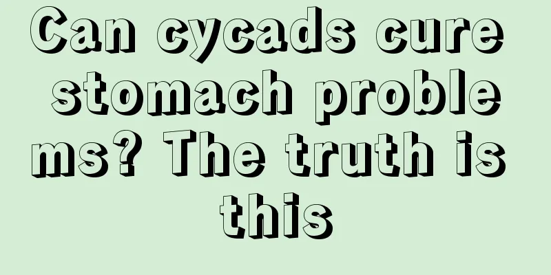 Can cycads cure stomach problems? The truth is this