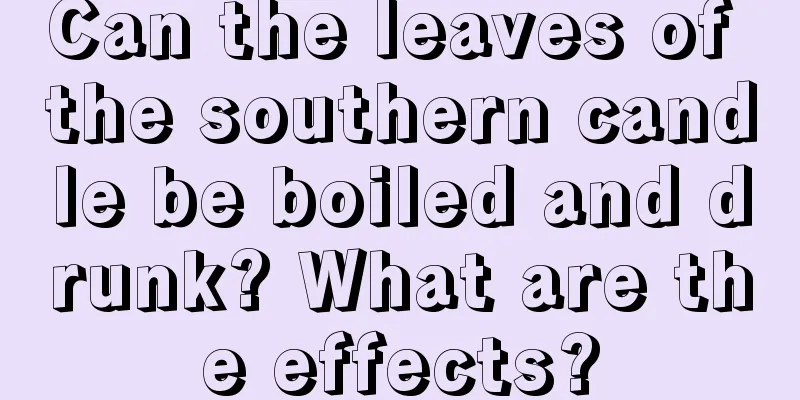 Can the leaves of the southern candle be boiled and drunk? What are the effects?