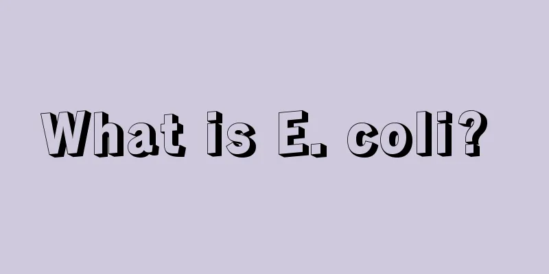 What is E. coli? 