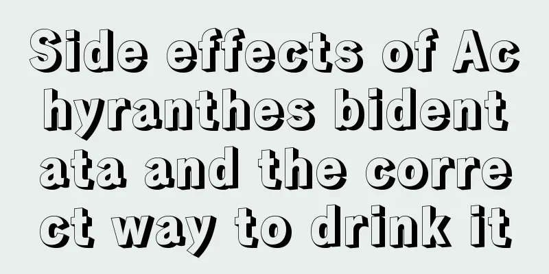 Side effects of Achyranthes bidentata and the correct way to drink it