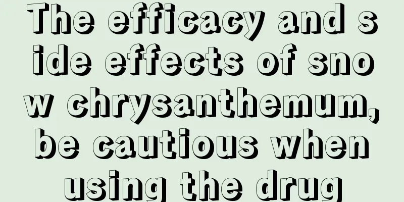 The efficacy and side effects of snow chrysanthemum, be cautious when using the drug