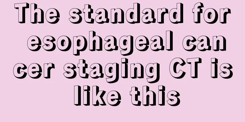 The standard for esophageal cancer staging CT is like this