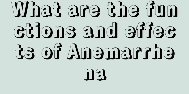 What are the functions and effects of Anemarrhena