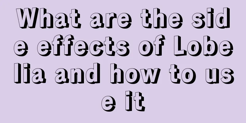 What are the side effects of Lobelia and how to use it