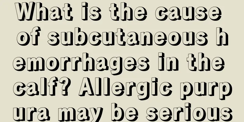 What is the cause of subcutaneous hemorrhages in the calf? Allergic purpura may be serious