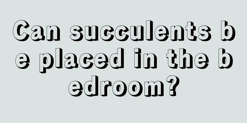 Can succulents be placed in the bedroom?