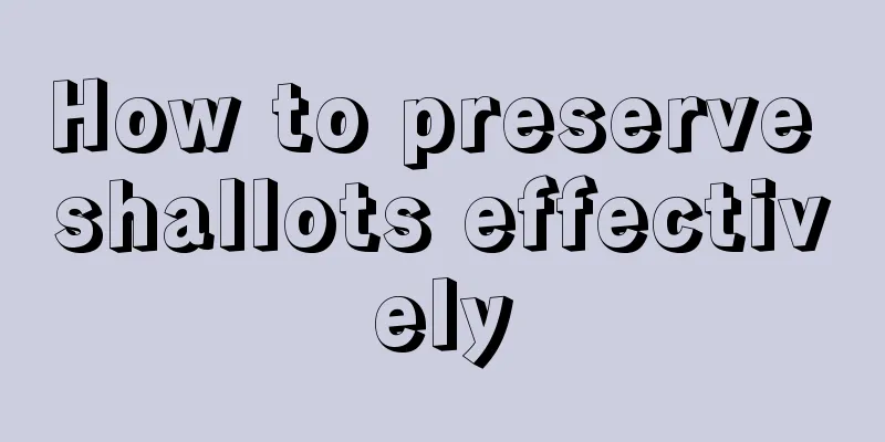 How to preserve shallots effectively