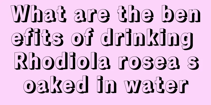 What are the benefits of drinking Rhodiola rosea soaked in water