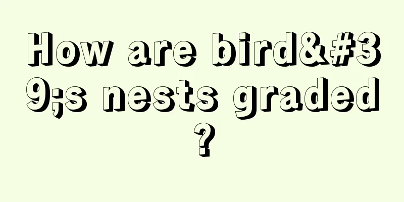 How are bird's nests graded?