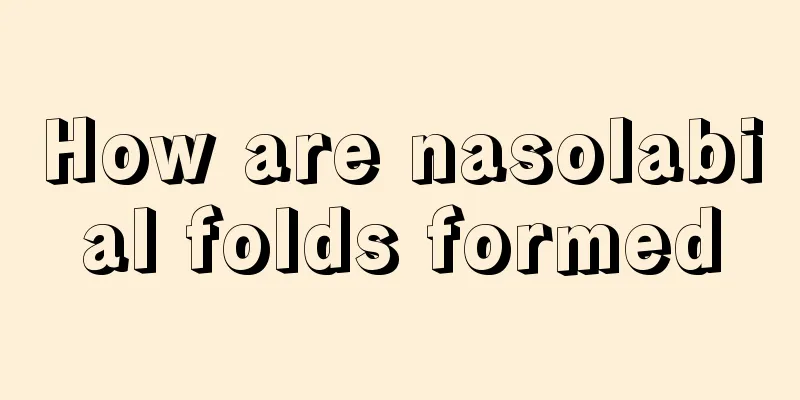How are nasolabial folds formed