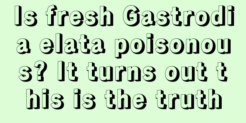 Is fresh Gastrodia elata poisonous? It turns out this is the truth