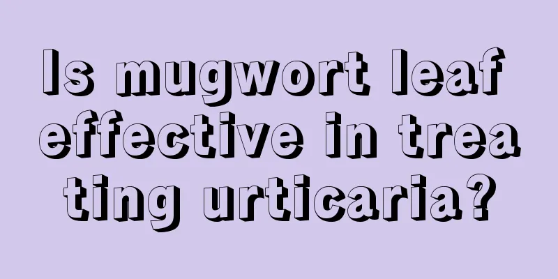 Is mugwort leaf effective in treating urticaria?