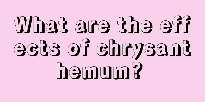 What are the effects of chrysanthemum? 