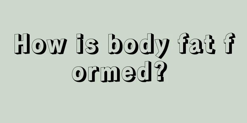 How is body fat formed? 