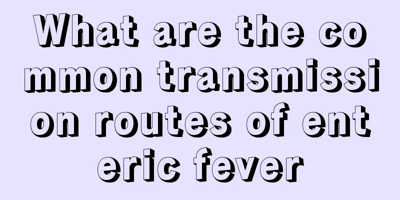 What are the common transmission routes of enteric fever
