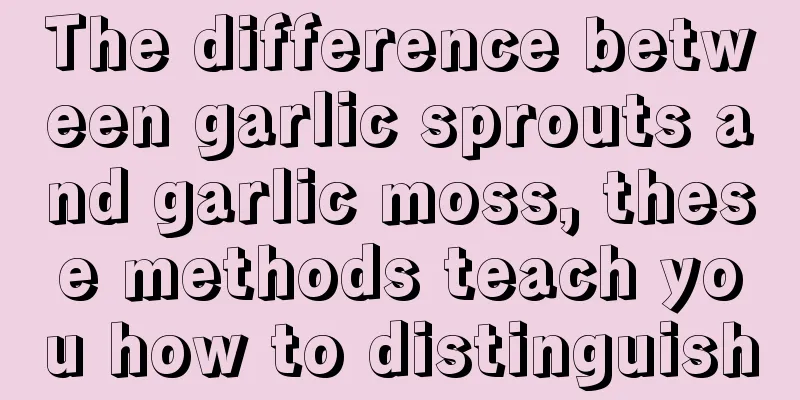 The difference between garlic sprouts and garlic moss, these methods teach you how to distinguish