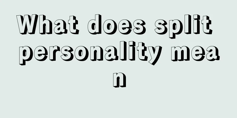 What does split personality mean