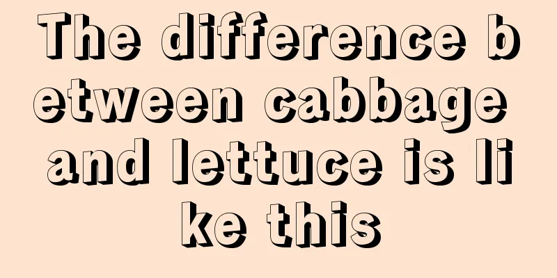 The difference between cabbage and lettuce is like this