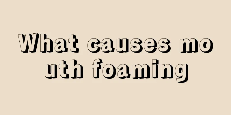 What causes mouth foaming