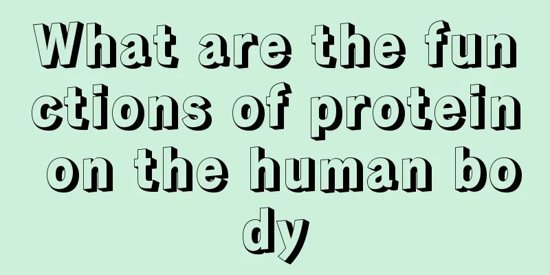 What are the functions of protein on the human body