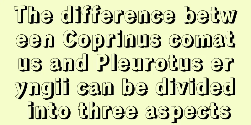 The difference between Coprinus comatus and Pleurotus eryngii can be divided into three aspects