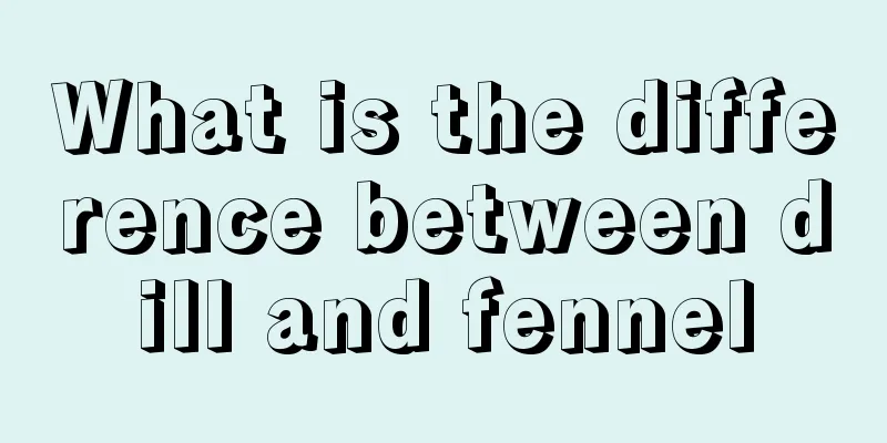 What is the difference between dill and fennel