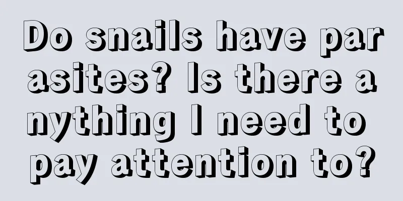 Do snails have parasites? Is there anything I need to pay attention to?