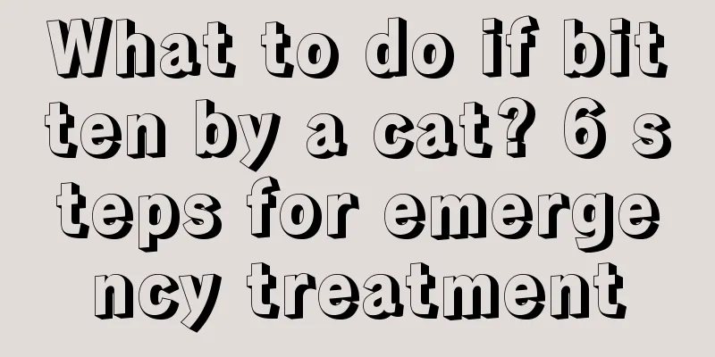 What to do if bitten by a cat? 6 steps for emergency treatment