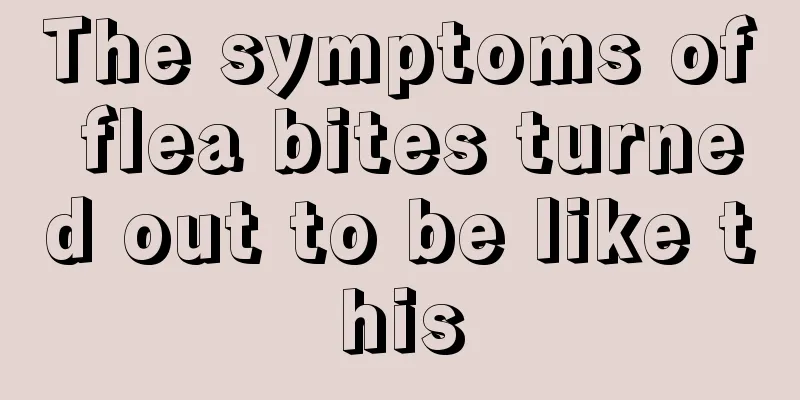 The symptoms of flea bites turned out to be like this