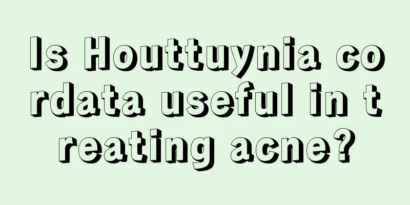 Is Houttuynia cordata useful in treating acne?