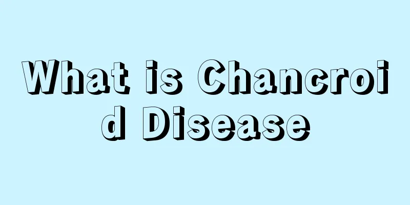What is Chancroid Disease