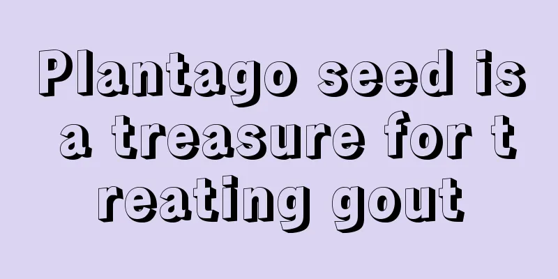 Plantago seed is a treasure for treating gout