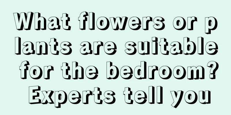 What flowers or plants are suitable for the bedroom? Experts tell you