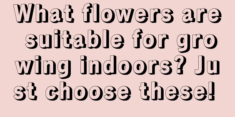 What flowers are suitable for growing indoors? Just choose these! 