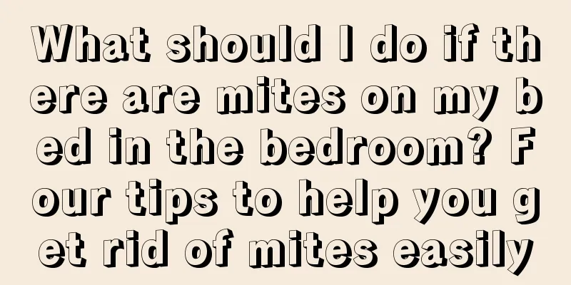 What should I do if there are mites on my bed in the bedroom? Four tips to help you get rid of mites easily