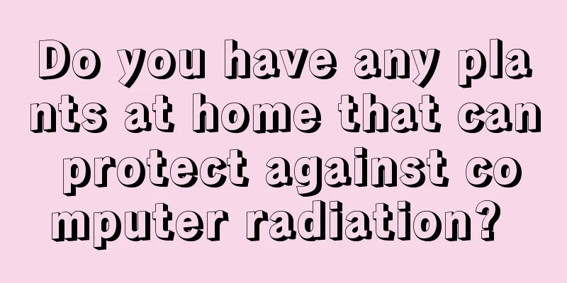 Do you have any plants at home that can protect against computer radiation? 