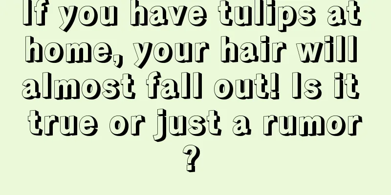 If you have tulips at home, your hair will almost fall out! Is it true or just a rumor? 