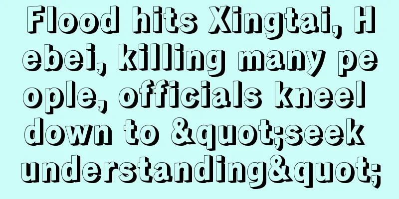 Flood hits Xingtai, Hebei, killing many people, officials kneel down to "seek understanding"