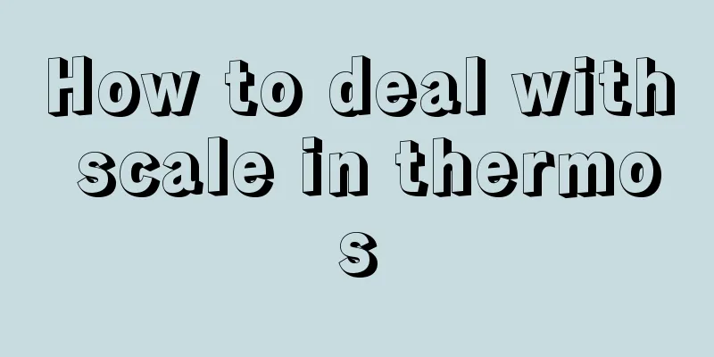 How to deal with scale in thermos