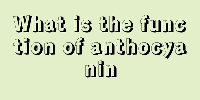 What is the function of anthocyanin